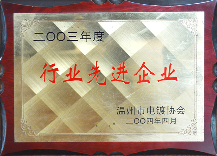 行業(yè)先進企業(yè)